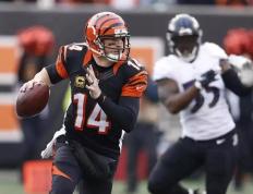 辽东猛虎队火力全开天山猛虎队，冲浪附加赛上演耐力碾压对手！重拾自信的夜晚的简单介绍-九游娱乐电竞