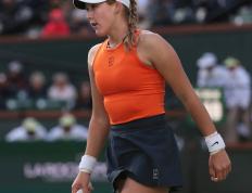 莎拉波娃重要时刻败北，加拿大队带队取胜！的简单介绍-九游官方活动